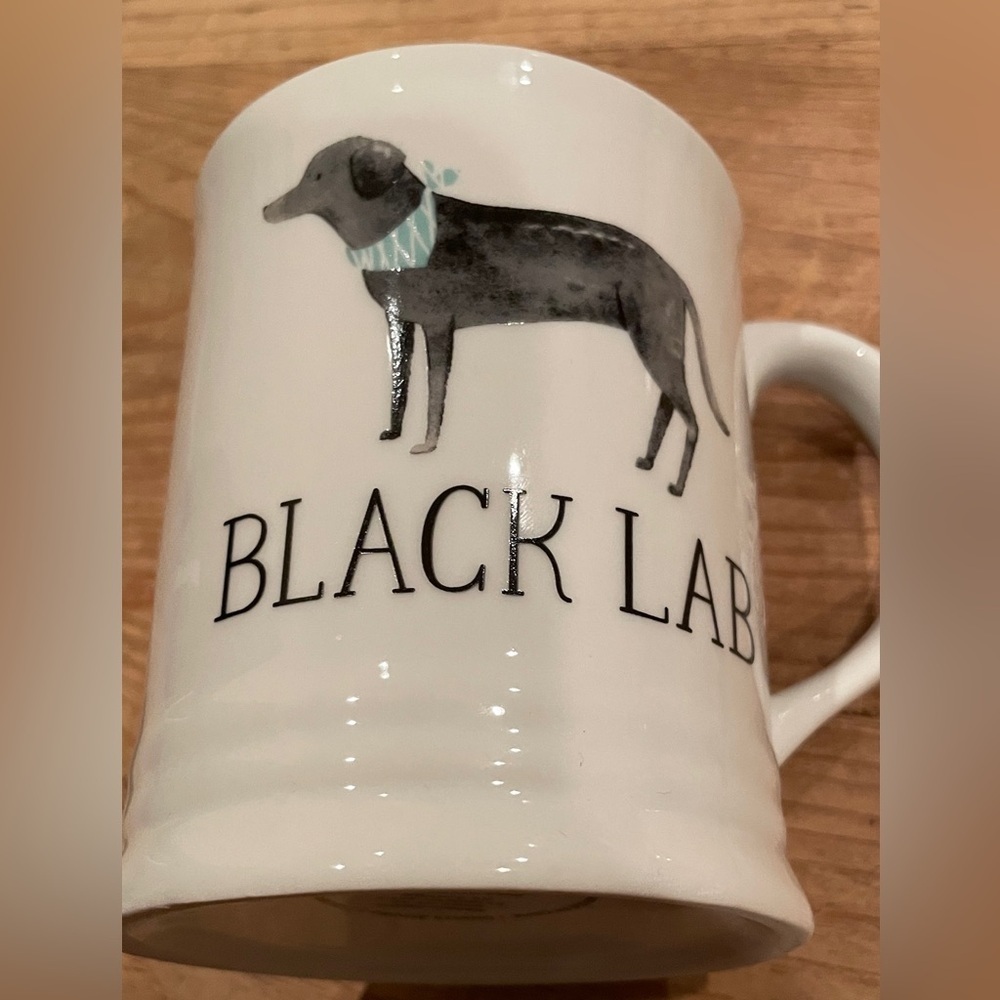NWOT Fringe Studio Pet Shop Black Lab Best Dog Mug microwave dishwasher safe